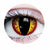 Dragon Contacts
