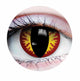 Dragon Contacts