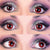 Dracula I Contact