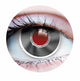 Terminator Contact