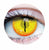 Jurassic I (Gold) Contact