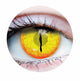 Jurassic I (Gold) Contact