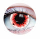 Wraith II Contact