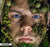 Chucky Contact Lens