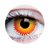 Pennywise Contacts