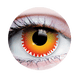 Pennywise Contacts