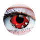 Walking Dead II Contact Lenses