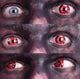 Walking Dead II Contact Lenses