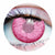 Embryo Contact Lenses