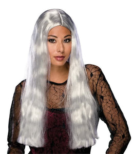 24" Grey Witch Wig