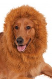 DLX. Lion's Mane