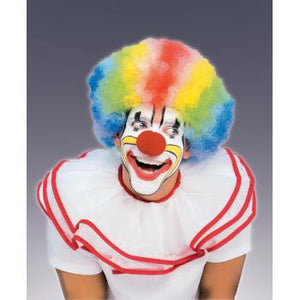 Rainbow Clown Wig