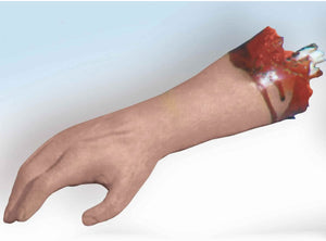 Body Parts Bloody Arm