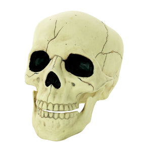 Table Top Glow in the Dark Skull
