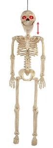 Animated 36" Skeleton