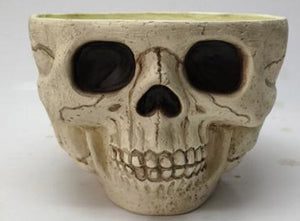9.5" Skull Candy Bowl
