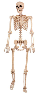5FT Posable Skeleton
