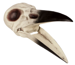 Raven Skull 8.75"