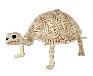 Turtle Skeleton 5.5"