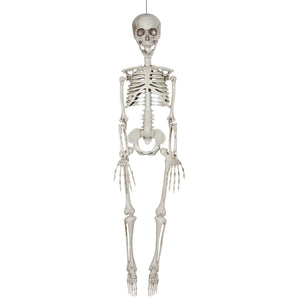 20" Realistic Skeleton