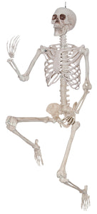 60" Posable Skeleton
