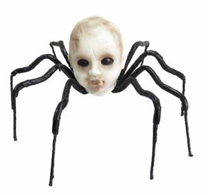 Baby Head Spider