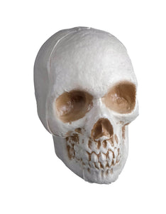 Economy Skull