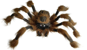 36" Brown Spider